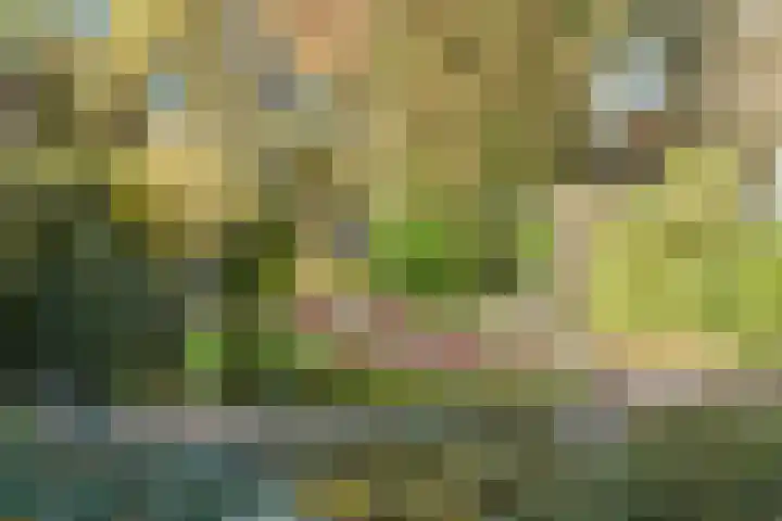 Frederiksweg 18 Mill thumbnail 40