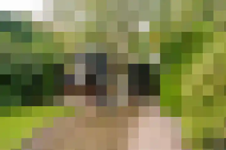 Frederiksweg 18 Mill thumbnail 41