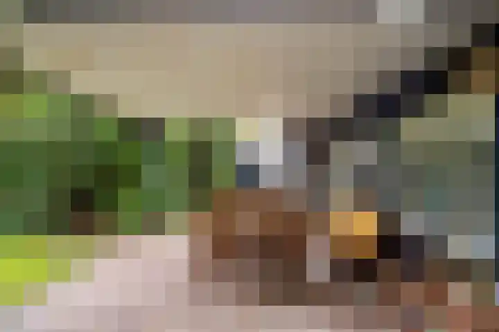 Frederiksweg 18 Mill thumbnail 42