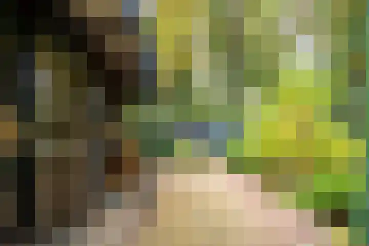 Frederiksweg 18 Mill thumbnail 43