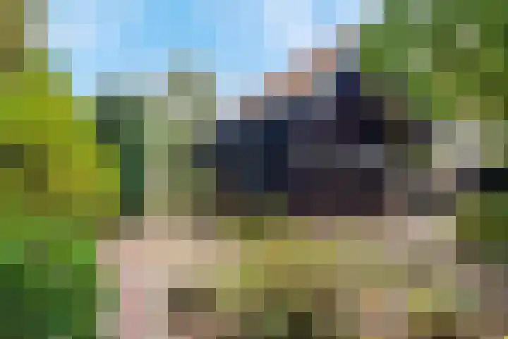 Frederiksweg 18 Mill thumbnail 44