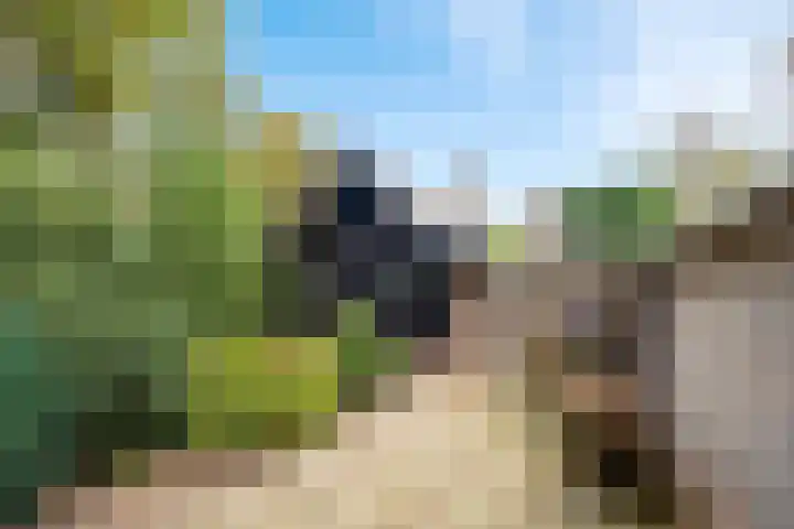 Frederiksweg 18 Mill thumbnail 45