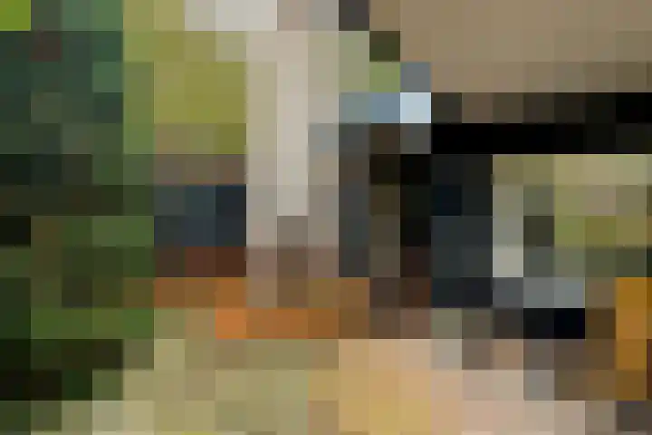 Frederiksweg 18 Mill thumbnail 46