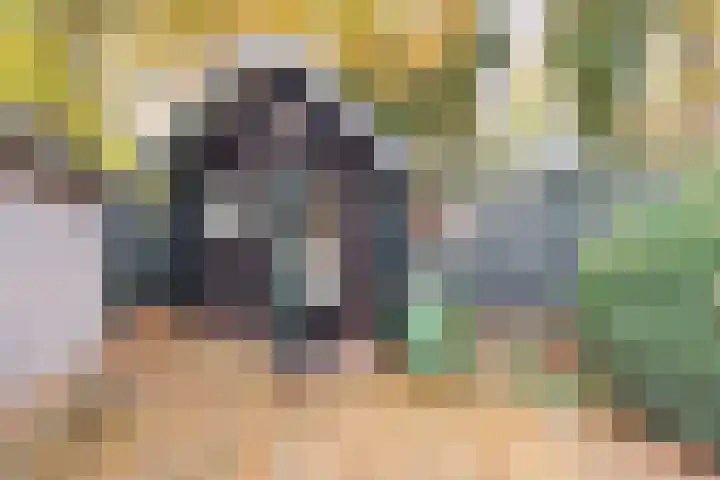 Frederiksweg 18 Mill thumbnail 51
