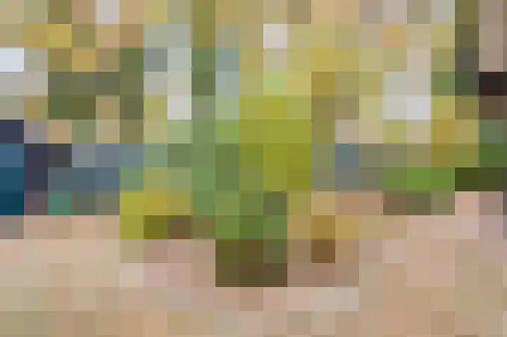Frederiksweg 18 Mill thumbnail 52