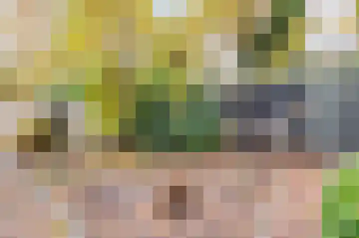 Frederiksweg 18 Mill thumbnail 53