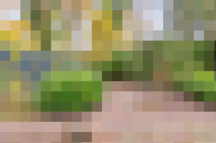 Frederiksweg 18 Mill thumbnail 54
