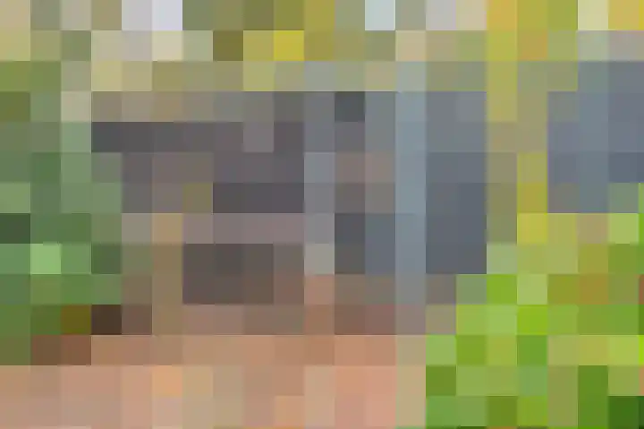 Frederiksweg 18 Mill thumbnail 55