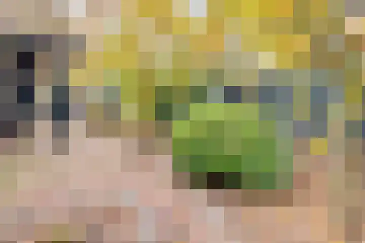 Frederiksweg 18 Mill thumbnail 56