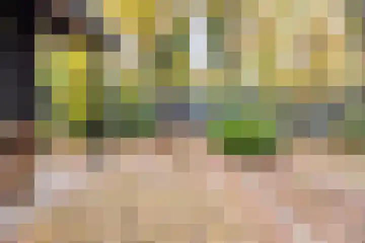 Frederiksweg 18 Mill thumbnail 57