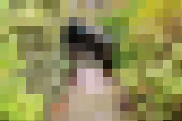 Frederiksweg 18 Mill thumbnail 58
