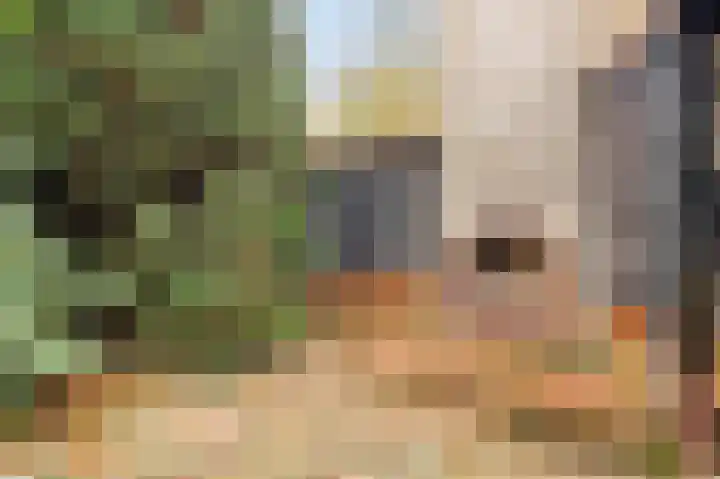 Frederiksweg 18 Mill thumbnail 59