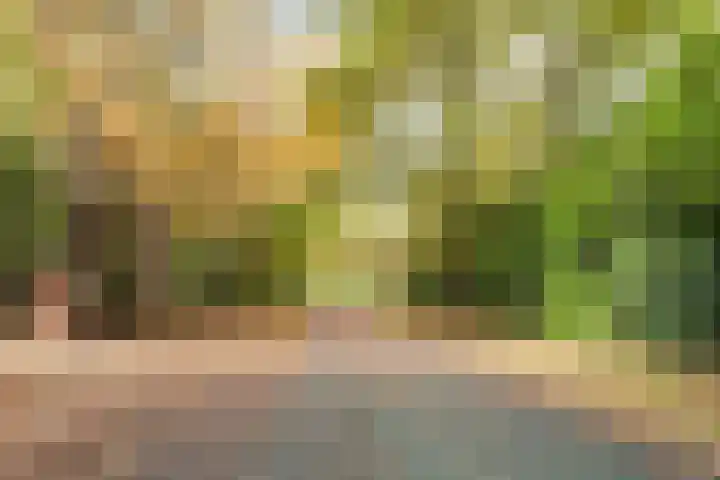 Frederiksweg 18 Mill thumbnail 60