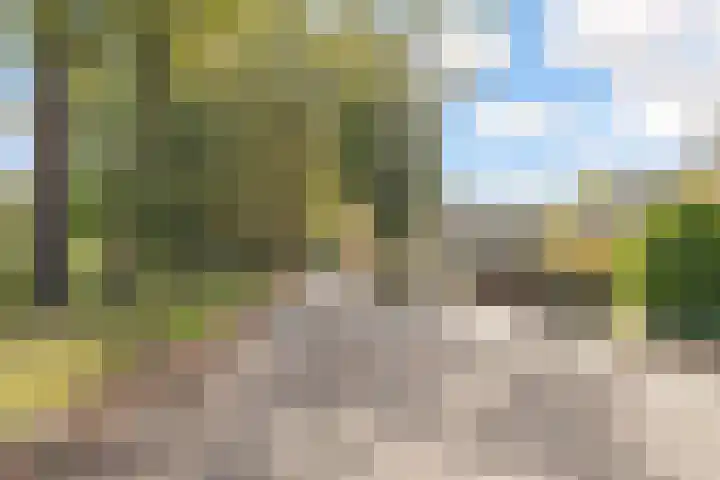 Frederiksweg 18 Mill thumbnail 61