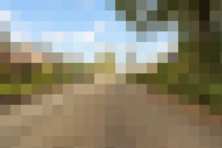 Frederiksweg 18 Mill thumbnail 62