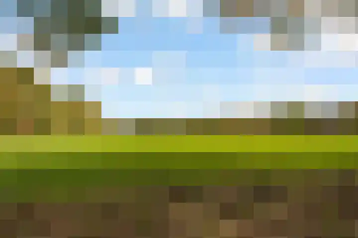 Frederiksweg 18 Mill thumbnail 63