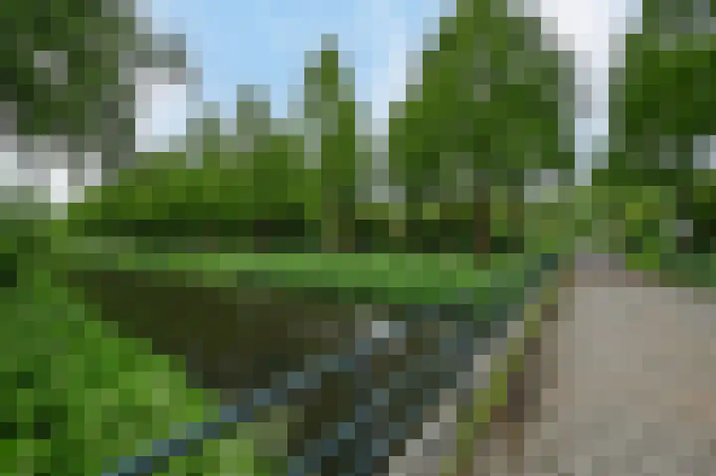 Freek Oxstraat 19 1 Amsterdam thumbnail 23