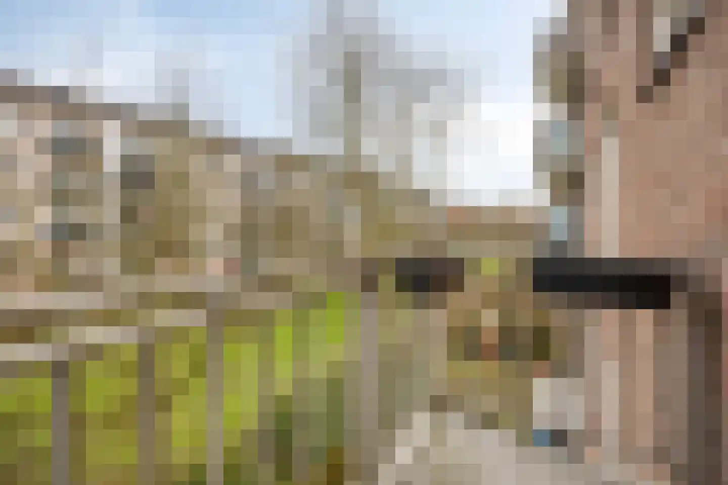 Freek Oxstraat 3 2 Amsterdam thumbnail 27