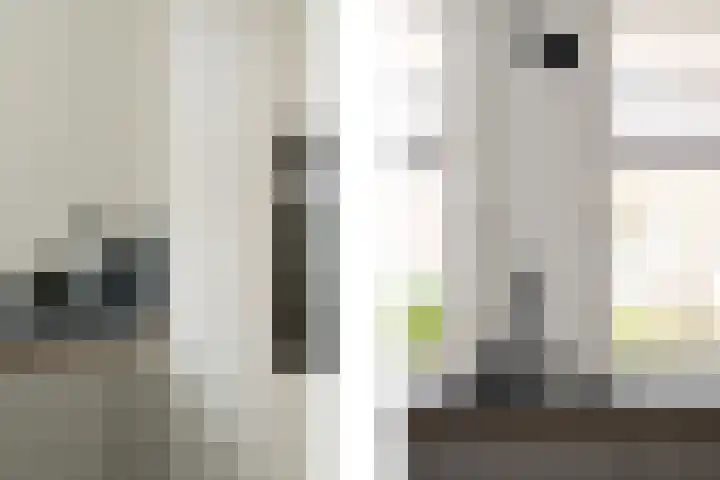 Freek van Leeuwenstraat 5 Rotterdam thumbnail 13