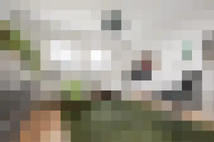 Freek van Leeuwenstraat 5 Rotterdam thumbnail 18