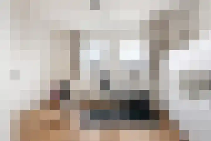 Freek van Leeuwenstraat 5 Rotterdam thumbnail 22