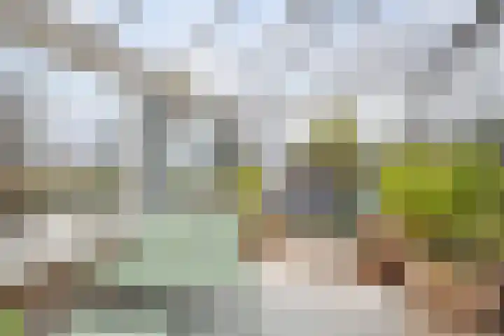 Freek van Leeuwenstraat 5 Rotterdam thumbnail 34