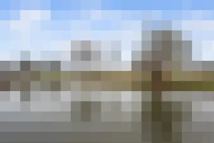 Freek van Leeuwenstraat 5 Rotterdam thumbnail 37