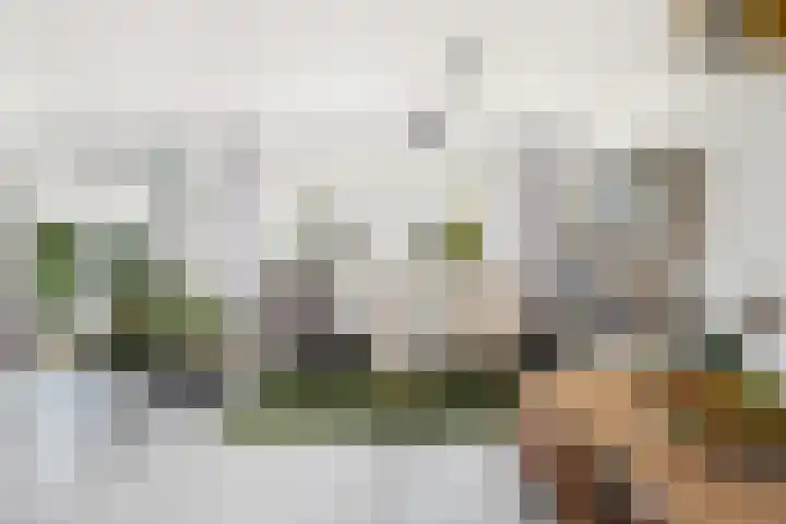 Freek van Leeuwenstraat 5 Rotterdam thumbnail 8