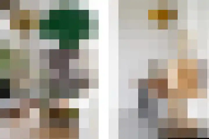 Freek van Leeuwenstraat 5 Rotterdam thumbnail 9