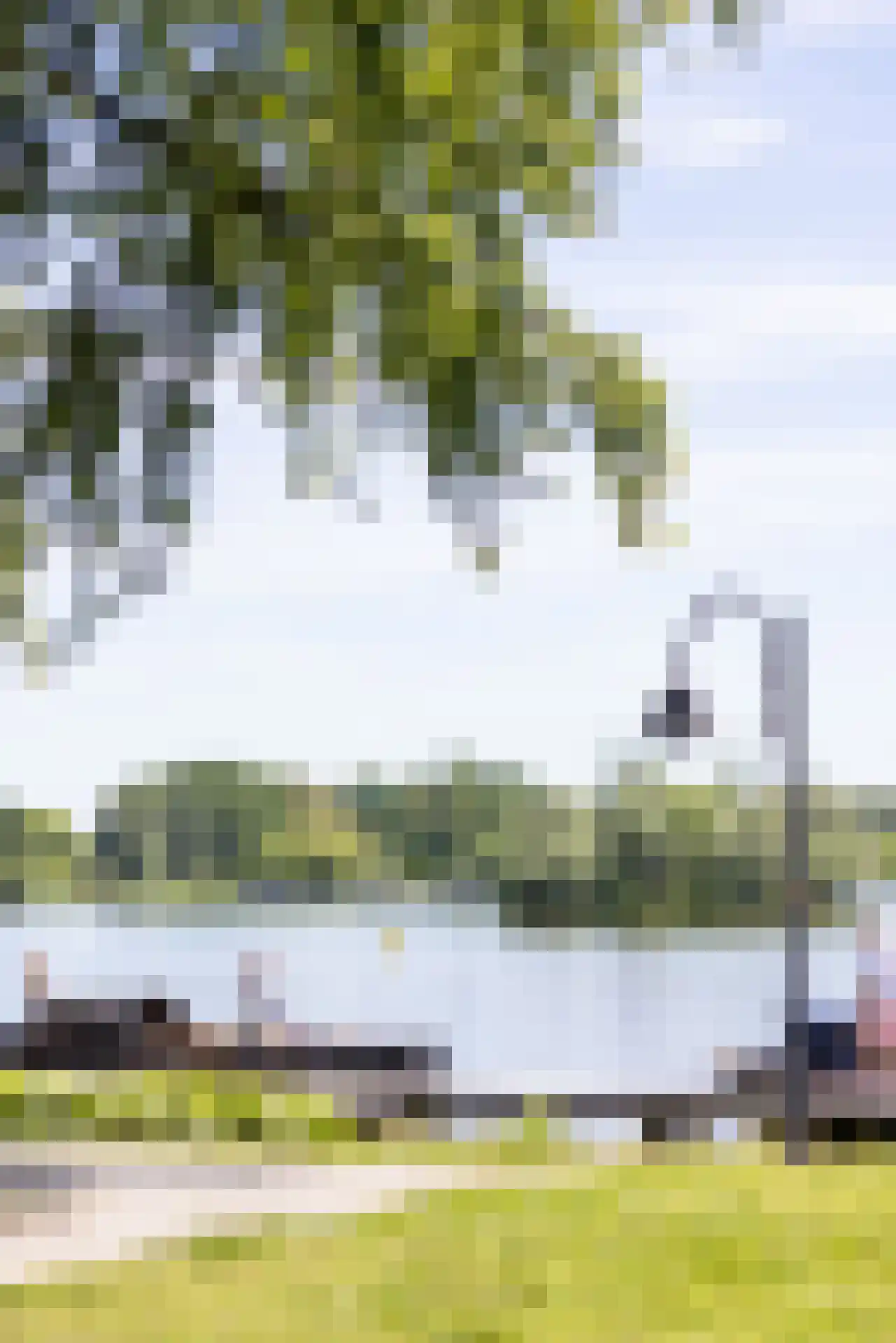 Freericksplaats 17 C Rotterdam thumbnail 24