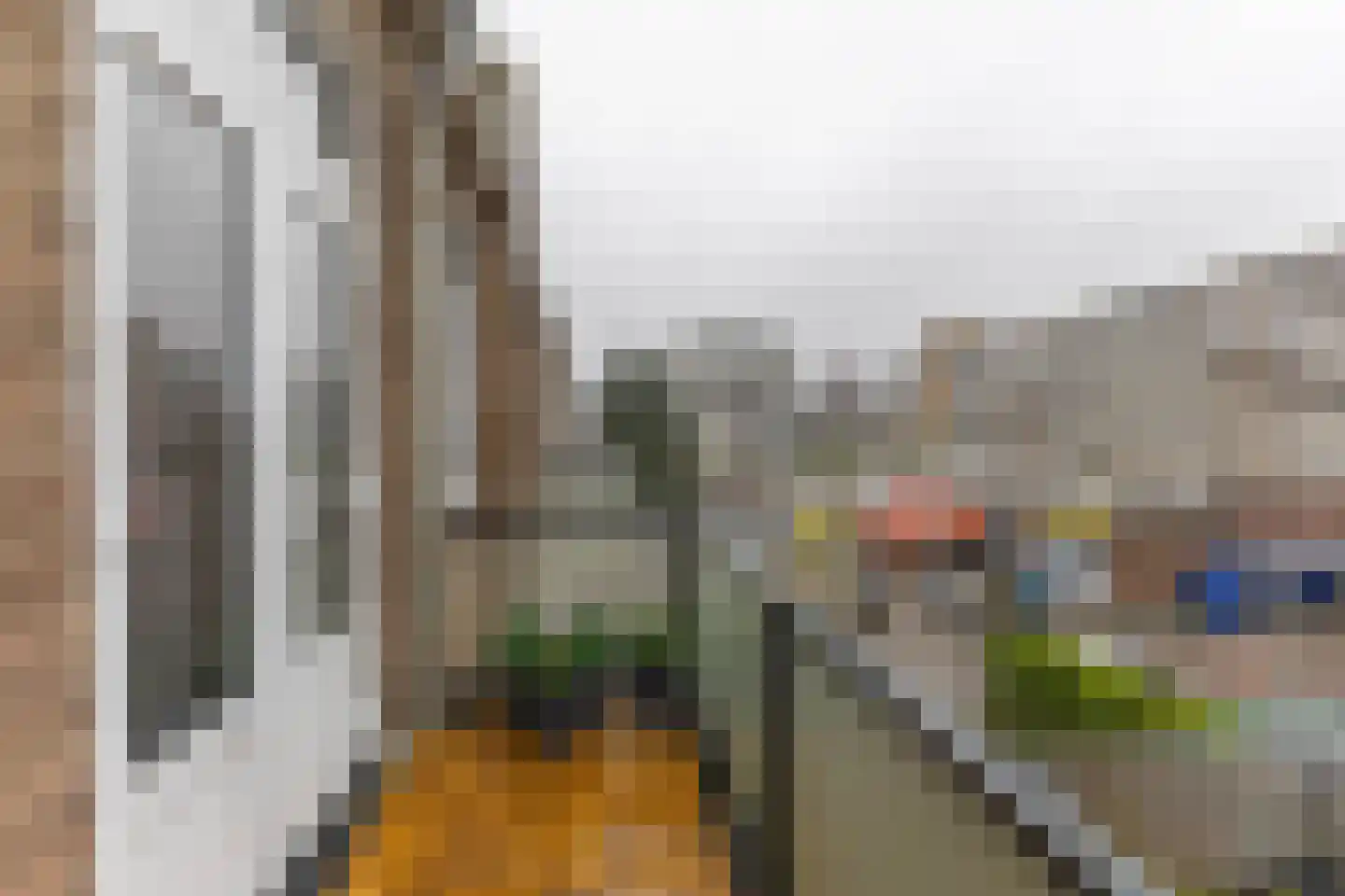 Freericksplaats 19 C Rotterdam thumbnail 15
