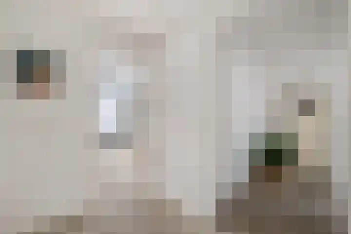 Freericksplaats 23 A Rotterdam thumbnail 12