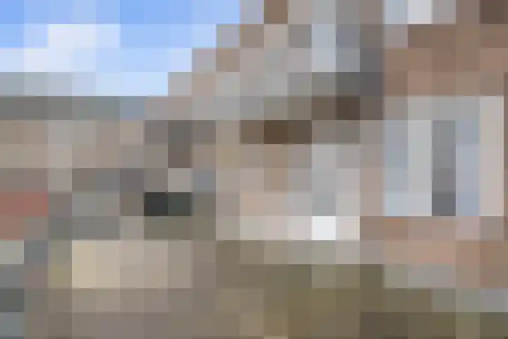 Freericksplaats 23 A Rotterdam thumbnail 16