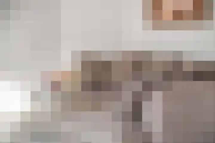 Freericksplaats 23 A Rotterdam thumbnail 5