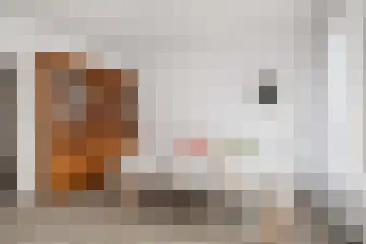 Freericksplaats 23 A Rotterdam thumbnail 7