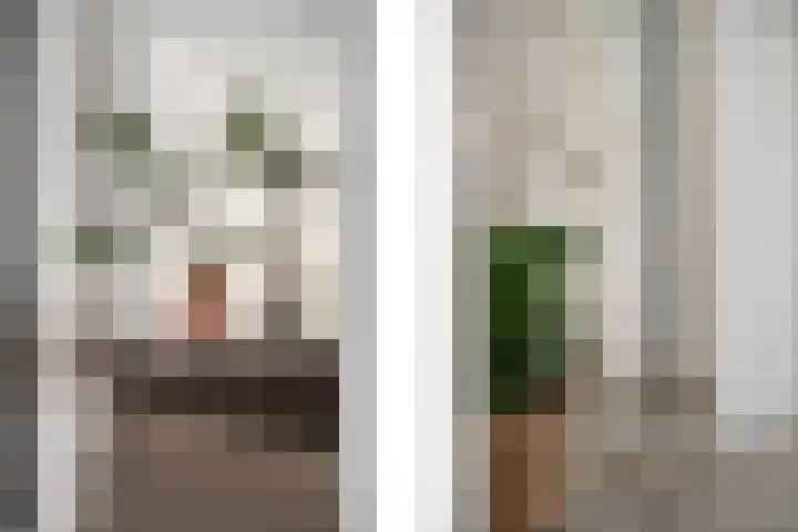 Freericksplaats 23 A Rotterdam thumbnail 9
