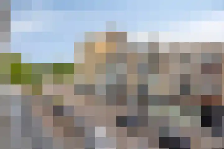 Freericksplaats 29 B Rotterdam thumbnail 20