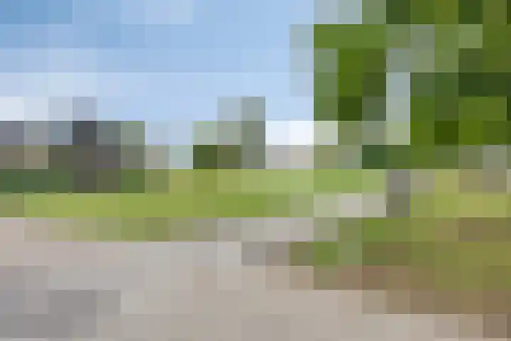 Freericksplaats 29 B Rotterdam thumbnail 23