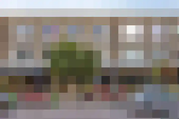 Freericksplaats 29 B Rotterdam thumbnail 26
