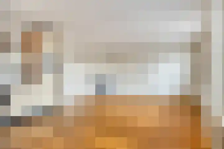 Freericksplaats 29 B Rotterdam thumbnail 4