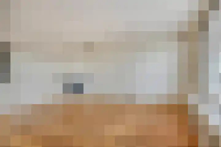 Freericksplaats 29 B Rotterdam thumbnail 6
