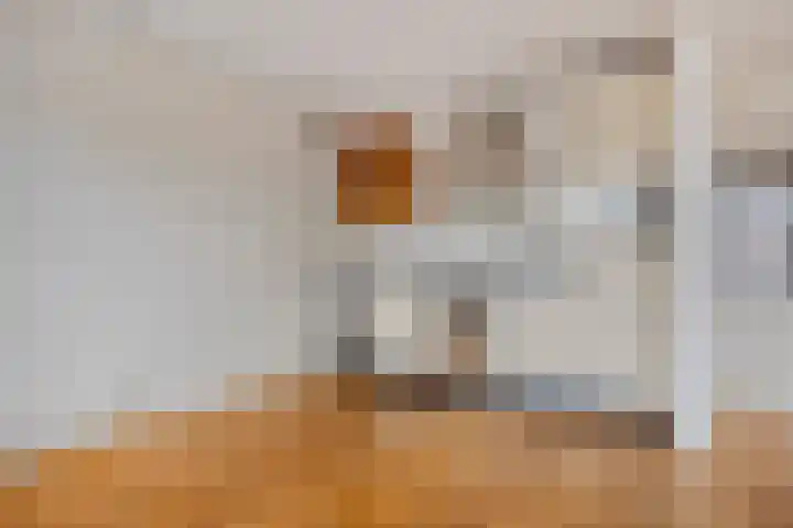 Freericksplaats 29 B Rotterdam thumbnail 8