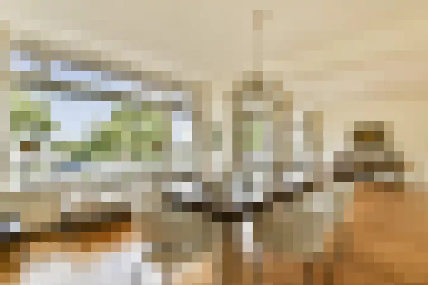 Freericksplaats 37 Rotterdam thumbnail 13