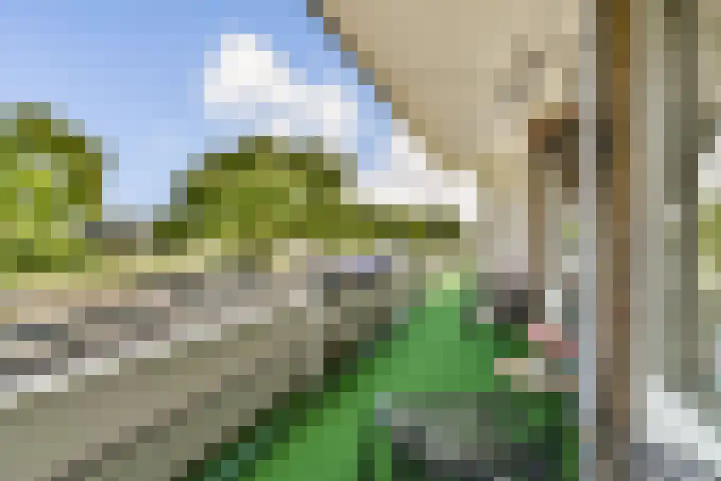 Freericksplaats 37 Rotterdam thumbnail 18