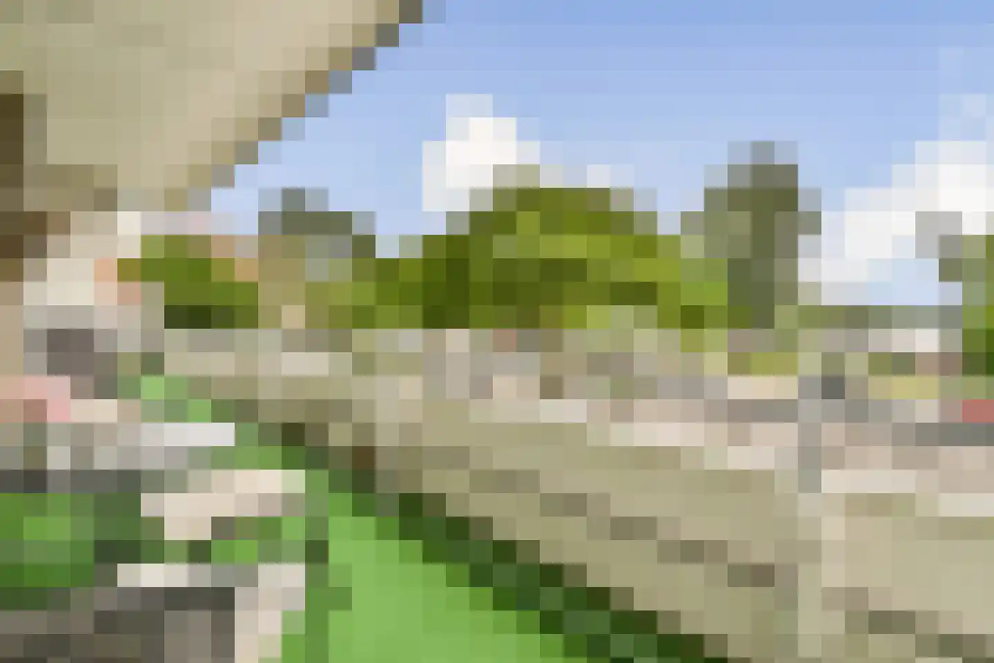 Freericksplaats 37 Rotterdam thumbnail 19