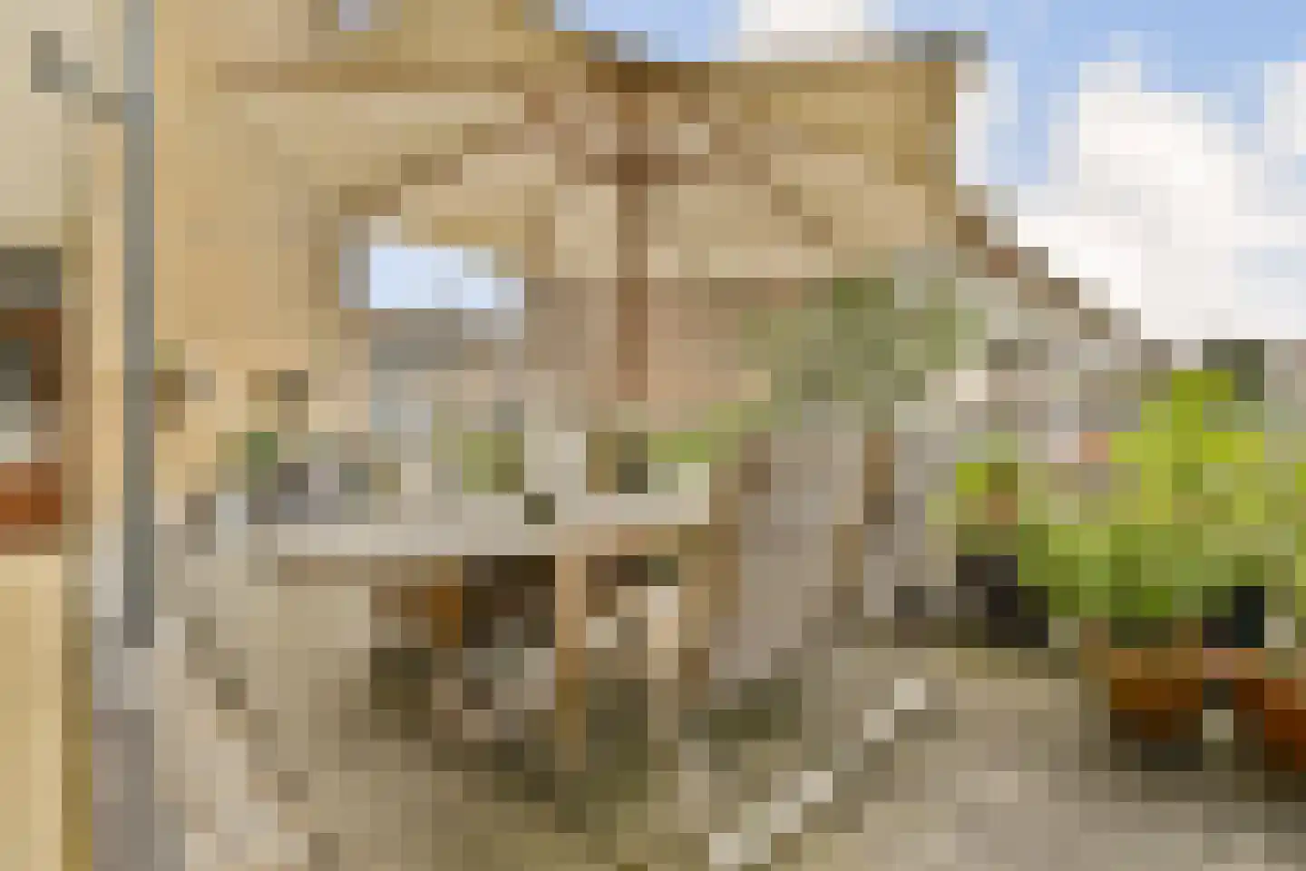 Freericksplaats 37 Rotterdam thumbnail 24
