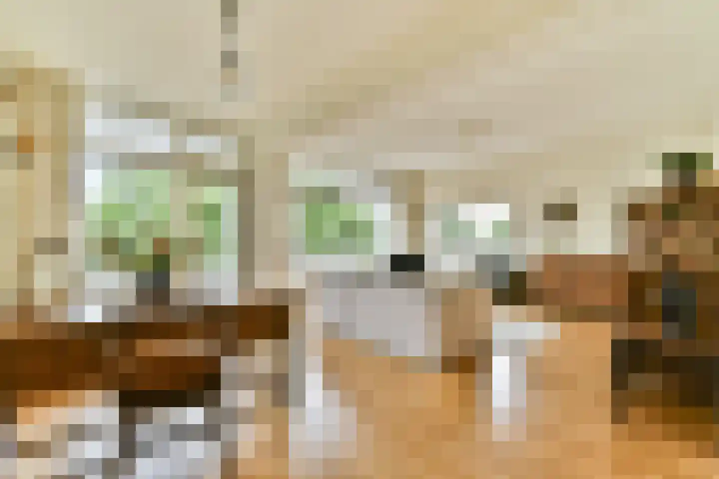 Freericksplaats 37 Rotterdam thumbnail 7