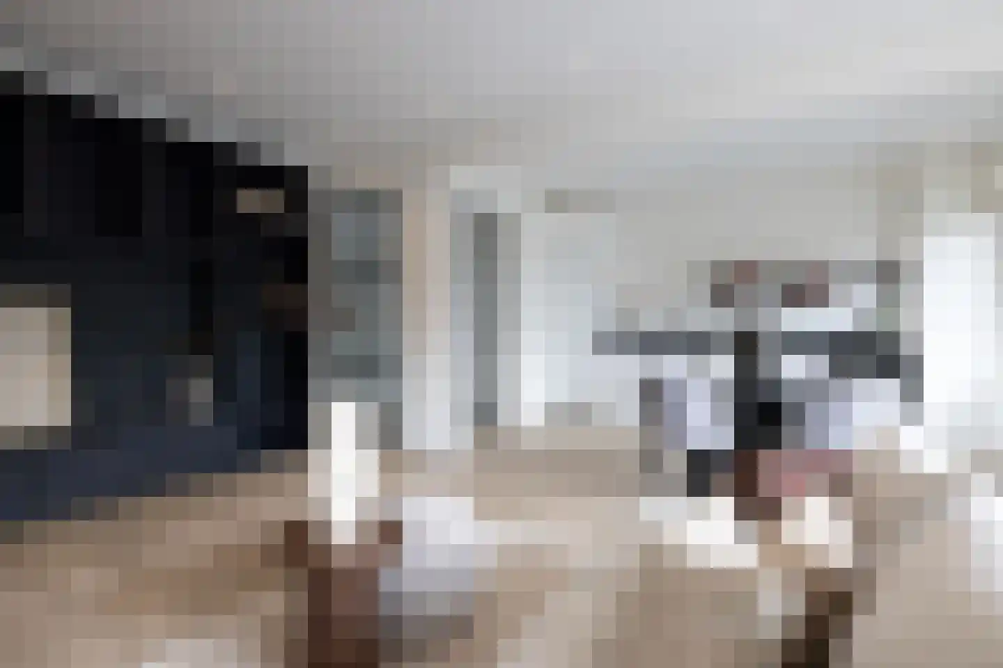 Freericksplaats 41 Rotterdam thumbnail 13
