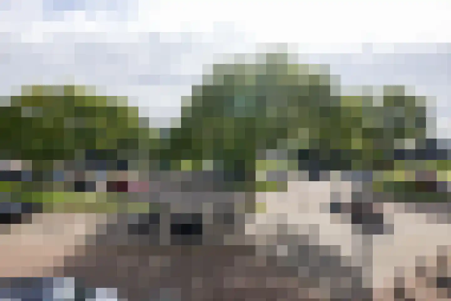 Freericksplaats 41 Rotterdam thumbnail 17