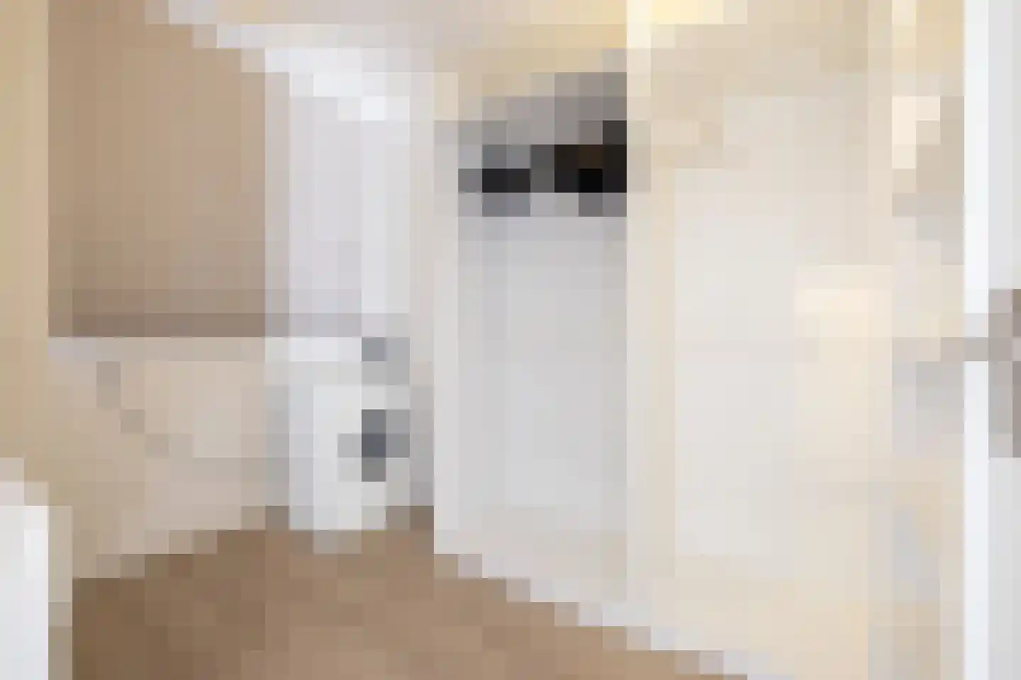 Freericksplaats 41 Rotterdam thumbnail 30